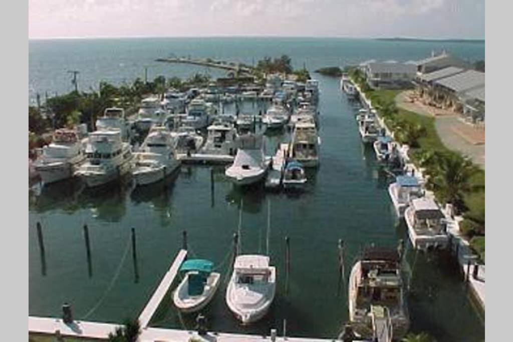 Licensed Mgr - 2/2 Villa - Oceanfront Beach Resort - Saltwater Lagoon & Marina! Key Largo Kültér fotó